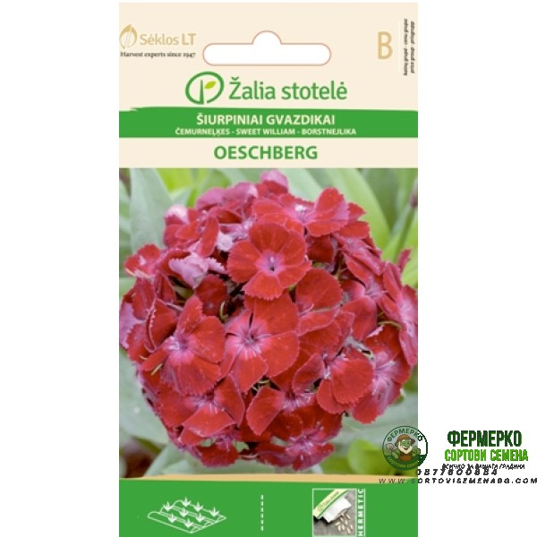 Карамфил Двоен Червен Oeschberg Dianthus barbatus
