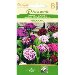 Карамфил Mикс Ponocchio Dianthus barbatus