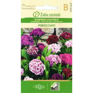 Карамфил Mикс Ponocchio / Dianthus barbatus