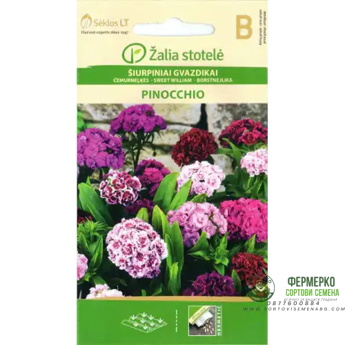 Карамфил Mикс Ponocchio / Dianthus barbatus