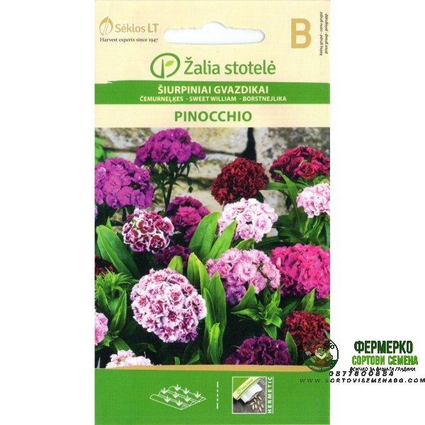 Карамфил Mикс Ponocchio Dianthus barbatus