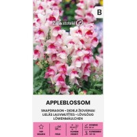Кученце Ябълков цвят Appleblossom