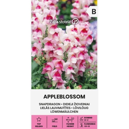 Кученце Ябълков цвят / Appleblossom