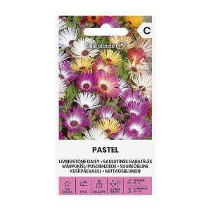 Ливингстонска Маргарита Микс Пастел / Dorotheanthus Bellidiformis Pastel