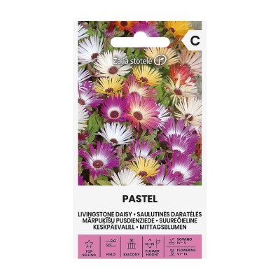 Ледено цвете Микс Пастел / Dorotheanthus Bellidiformis Pastel