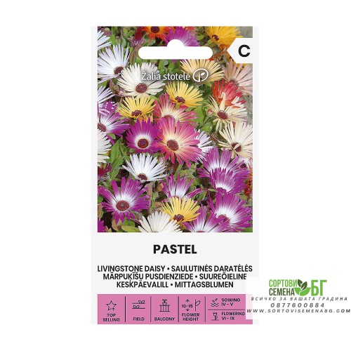 Ливингстонска Маргарита Микс Пастел / Dorotheanthus Bellidiformis Pastel