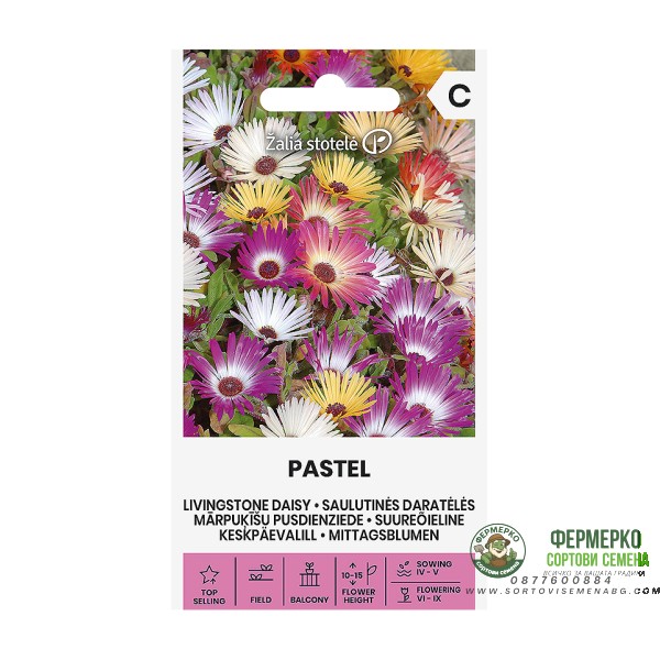 Ливингстонска Маргарита Микс Пастел Dorotheanthus Bellidiformis Pastel