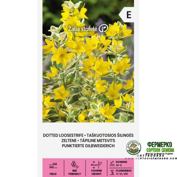 Лизимахия Жълта Точкова Lysimachia punctata