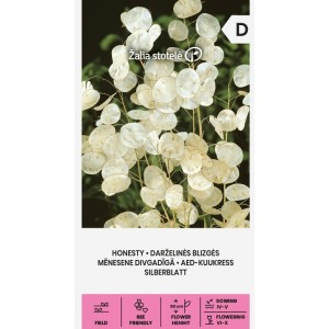 Лунария Сребърна пара / Lunaria Biennis 