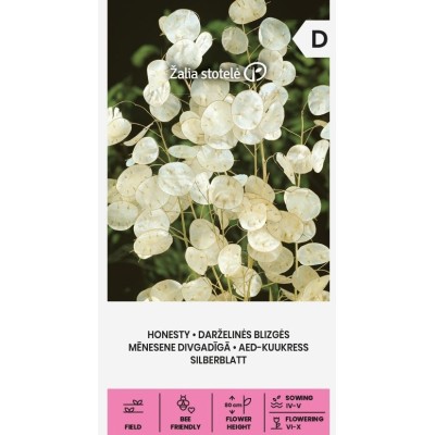 Лунария Сребърна пара / Lunaria Biennis 