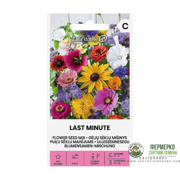 Цветен Микс В Последната Минута Last Minute