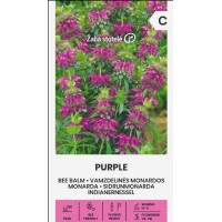 Монарда Лилава (ПЧЕЛЕН БАЛСАМ) / Monarda fistulosa