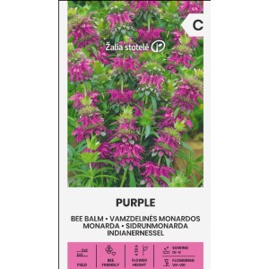 Монарда Лилава (ПЧЕЛЕН БАЛСАМ) / Monarda fistulosa