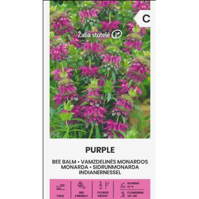 Монарда Лилава (ПЧЕЛЕН БАЛСАМ) / Monarda fistulosa