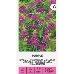 Монарда Лилава (ПЧЕЛЕН БАЛСАМ) / Monarda fistulosa