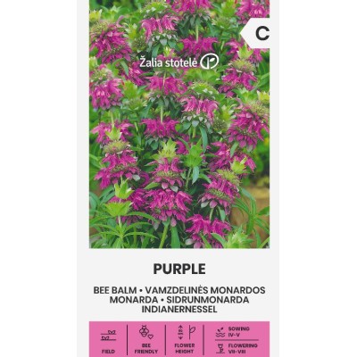 Монарда Лилава (ПЧЕЛЕН БАЛСАМ) / Monarda fistulosa