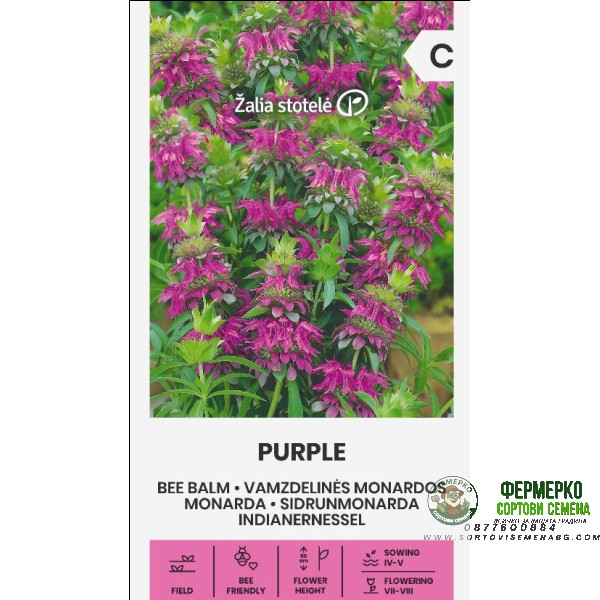 Монарда Лилава (ПЧЕЛЕН БАЛСАМ) Monarda fistulosa