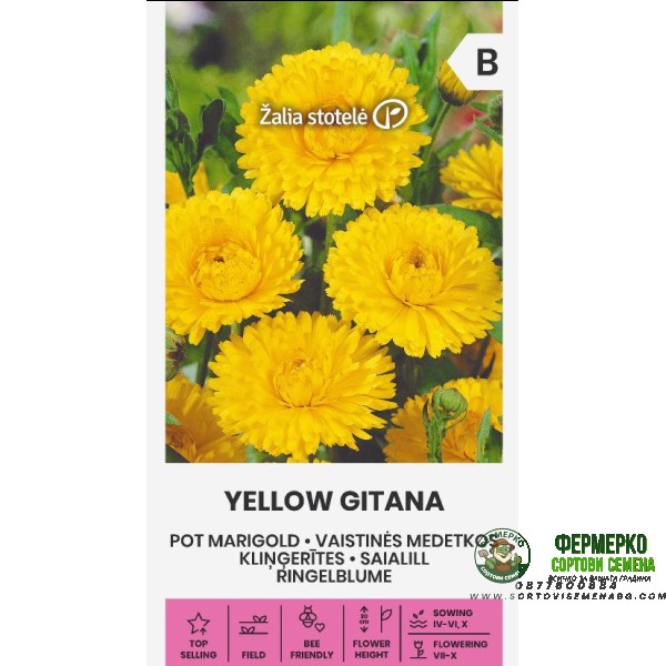 Невен Жълт Гитана Calendula officinalis