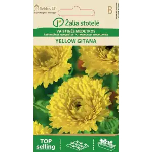 Невен Жълт Гитана / Calendula officinalis