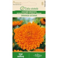 Невен Оранжев Гитана Calendula officinalis