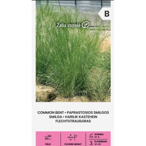 Червена власатка (финолистна) / Agrostis capillaris