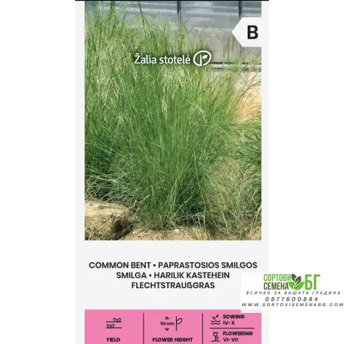 Червена власатка (финолистна) / Agrostis capillaris Червена власатка (финолистна) / Agrostis capillaris