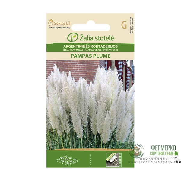 Пампаска трева Бяла Cortaderia selloana Pampas plume