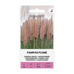 Пампаска трева Розова / Cortaderia selloana Pampas plume