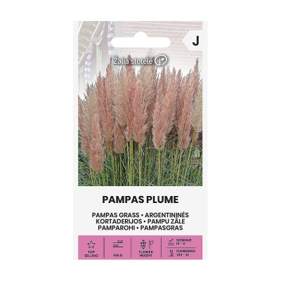 Пампаска трева Розова / Cortaderia selloana Pampas plume