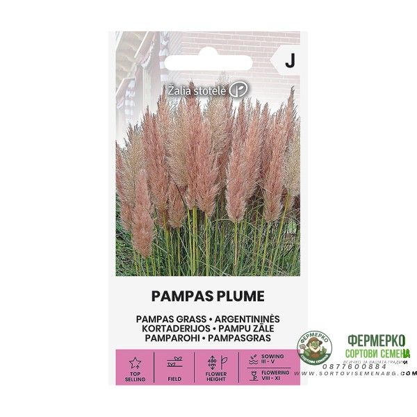 Пампаска трева Розова Cortaderia selloana Pampas plume