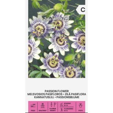 Пасифлора Passiflora caerulea