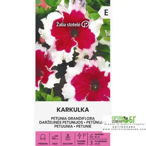 Едроцветна Петуния Каркул/ Petunia grandiflora Karkulka Едроцветна Петуния Каркул/ Petunia grandiflora Karkulka