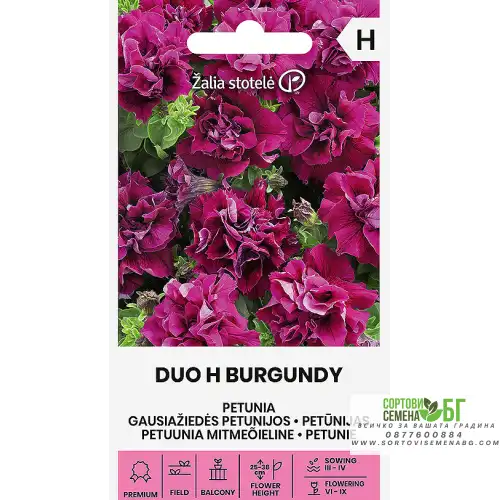 Петуния Двойна Бордо / Petunia hybrida Петуния Двойна Бордо / Petunia hybrida