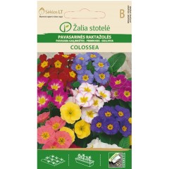 Иглика (Примула) Микс Рrimula veris