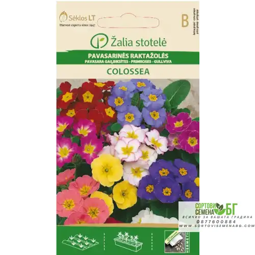 Иглика (Примула) Микс / Рrimula veris Иглика (Примула) Микс / Рrimula veris