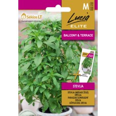 Стевия Stevia rebaudiana