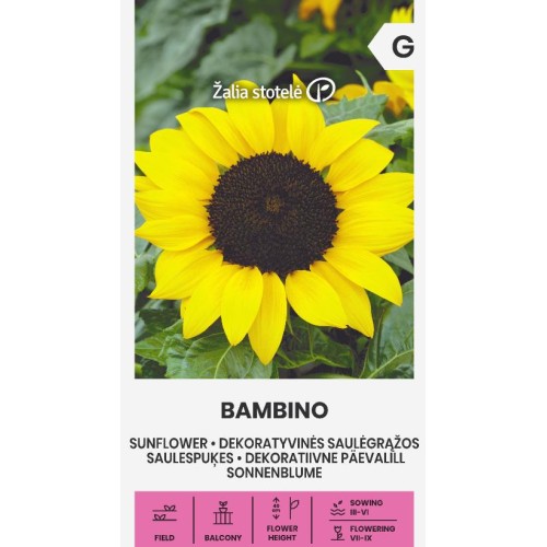 Декоративен слънчоглед Бамбино / Helianthus annuus Bambino