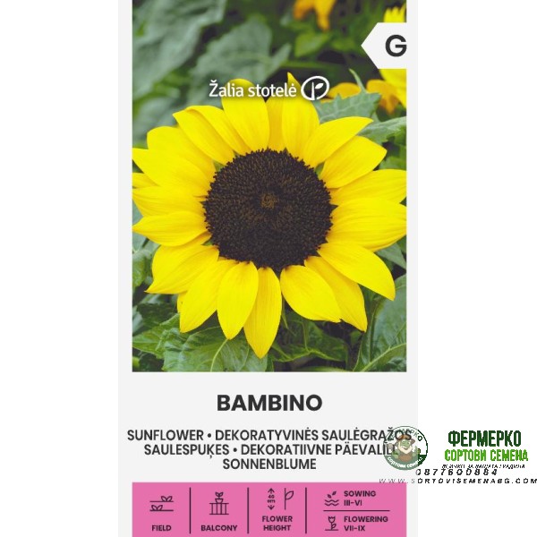 Декоративен слънчоглед Бамбино Helianthus annuus Bambino