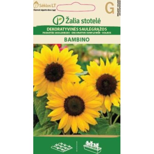Декоративен слънчоглед Бамбино / Helianthus annuus Bambino