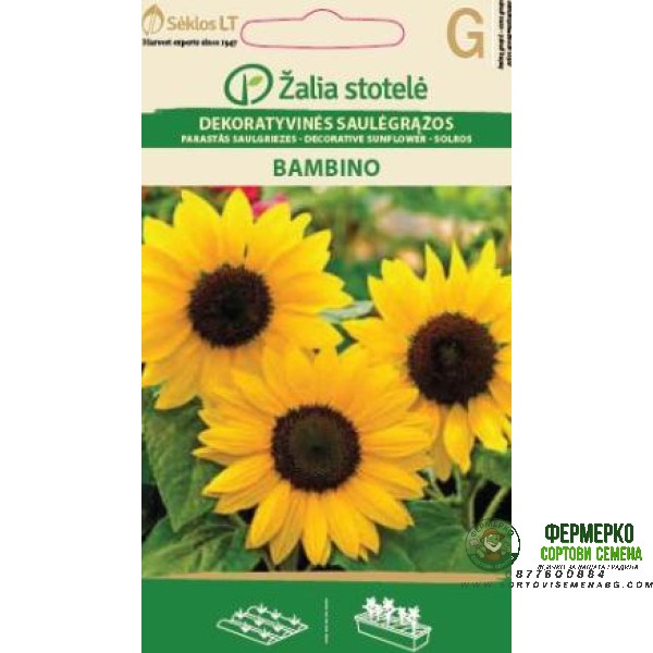 Декоративен слънчоглед Бамбино Helianthus annuus Bambino