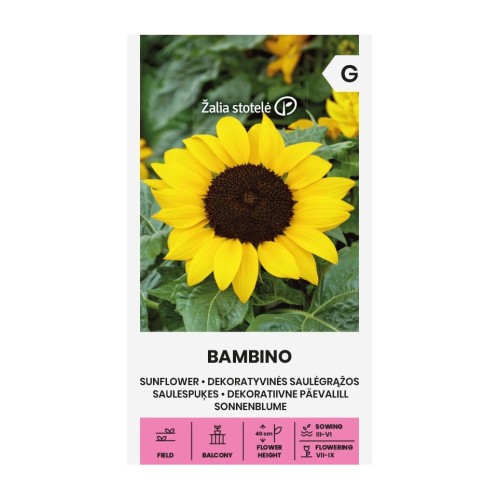 Декоративен слънчоглед Бамбино / Helianthus annuus Bambino
