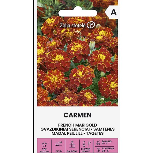 Тагетес Кармен (Френски невен) / Tagetes patula
