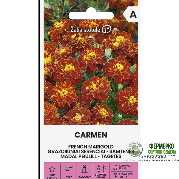 Тагетес Кармен (Френски невен) Tagetes patula