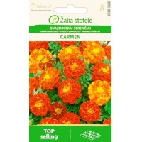 Тагетес Кармен (Френски невен) / Tagetes patula