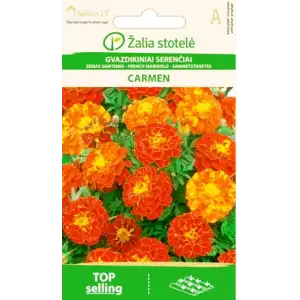 Тагетес Кармен (Френски невен) / Tagetes patula