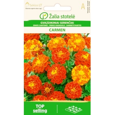 Тагетес Кармен (Френски невен) / Tagetes patula
