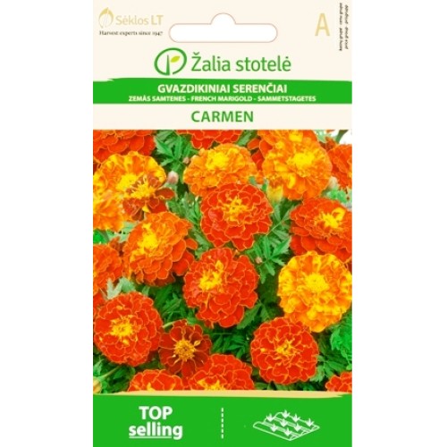 Тагетес Кармен (Френски невен) / Tagetes patula
