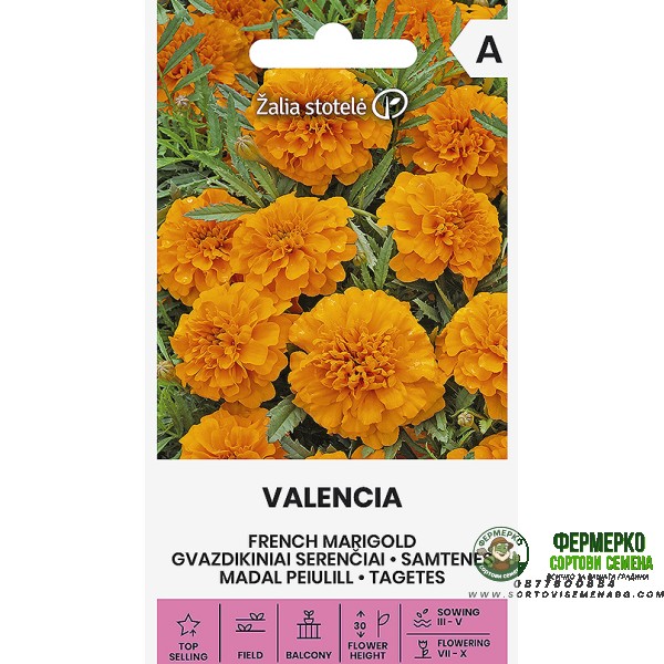 Тагетес Оранжев Валенсия Tagetes patula