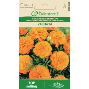 Тагетес (Френски невен) Оранжев Валенсия / Tagetes patula
