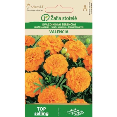 Тагетес (Френски невен) Оранжев Валенсия / Tagetes patula
